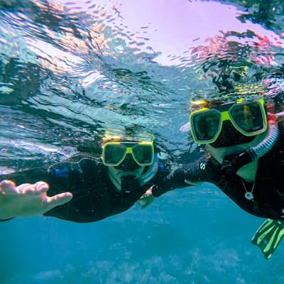 Adriatic Divers