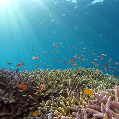 Mykonos Dive Adventures