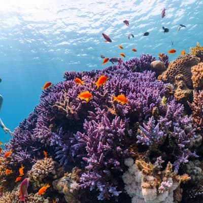 Rhodes Blue Hole