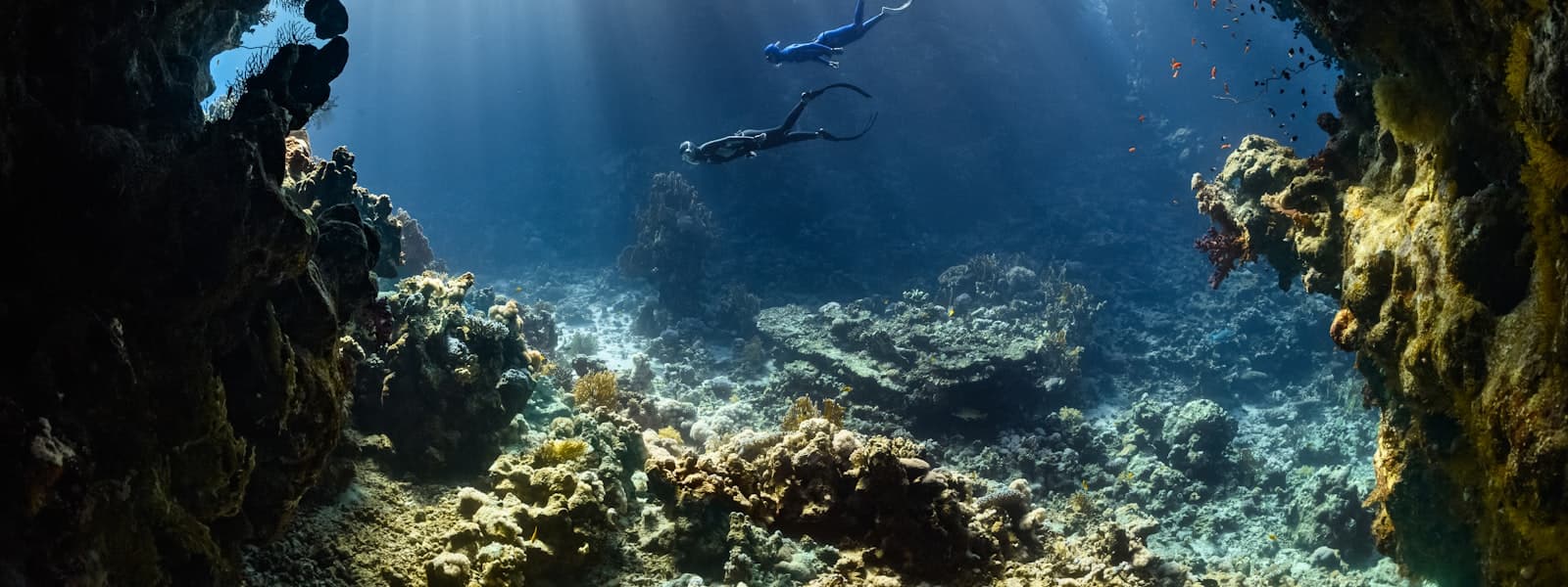 Blue Aegean Divers