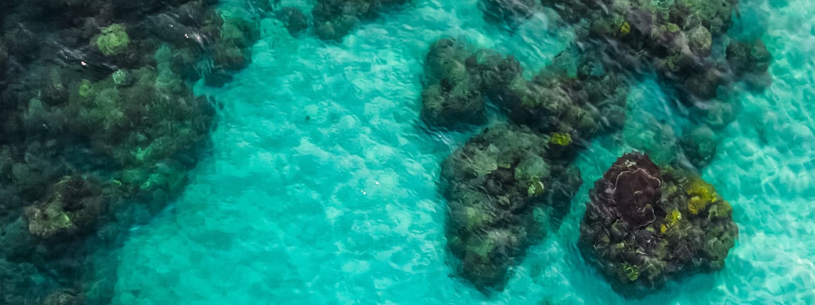 Crete Dive Lab