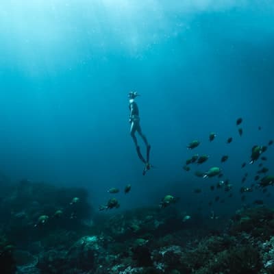 Sardinia Sub